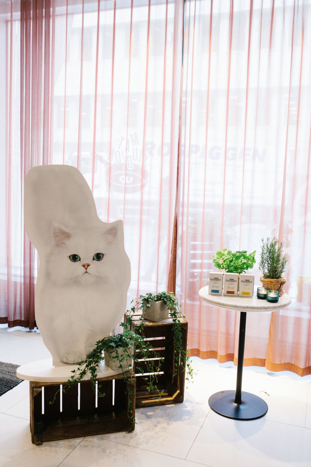 Purina-Gourmet-Event-290917-6