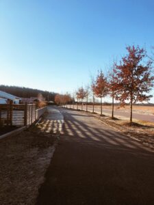 Processed with VSCO with a4 preset