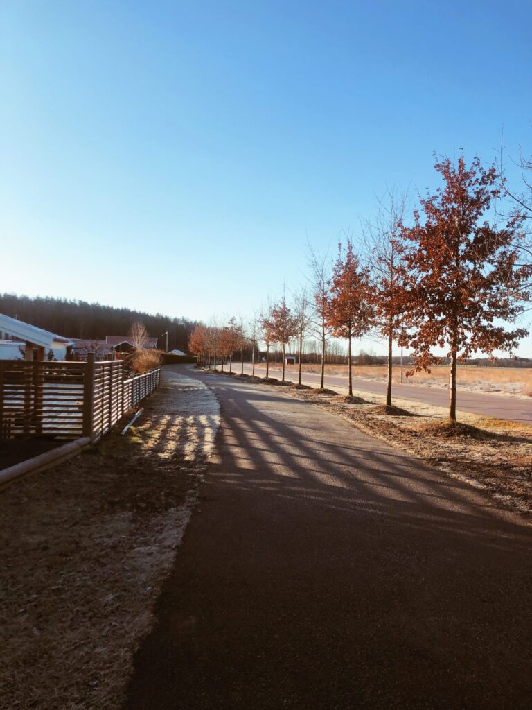 Processed with VSCO with a4 preset