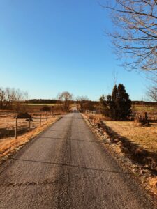 Processed with VSCO with a4 preset