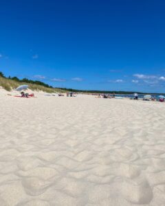 0ba62c8f 02f2 4090 9cac 8949554f150d.jpg