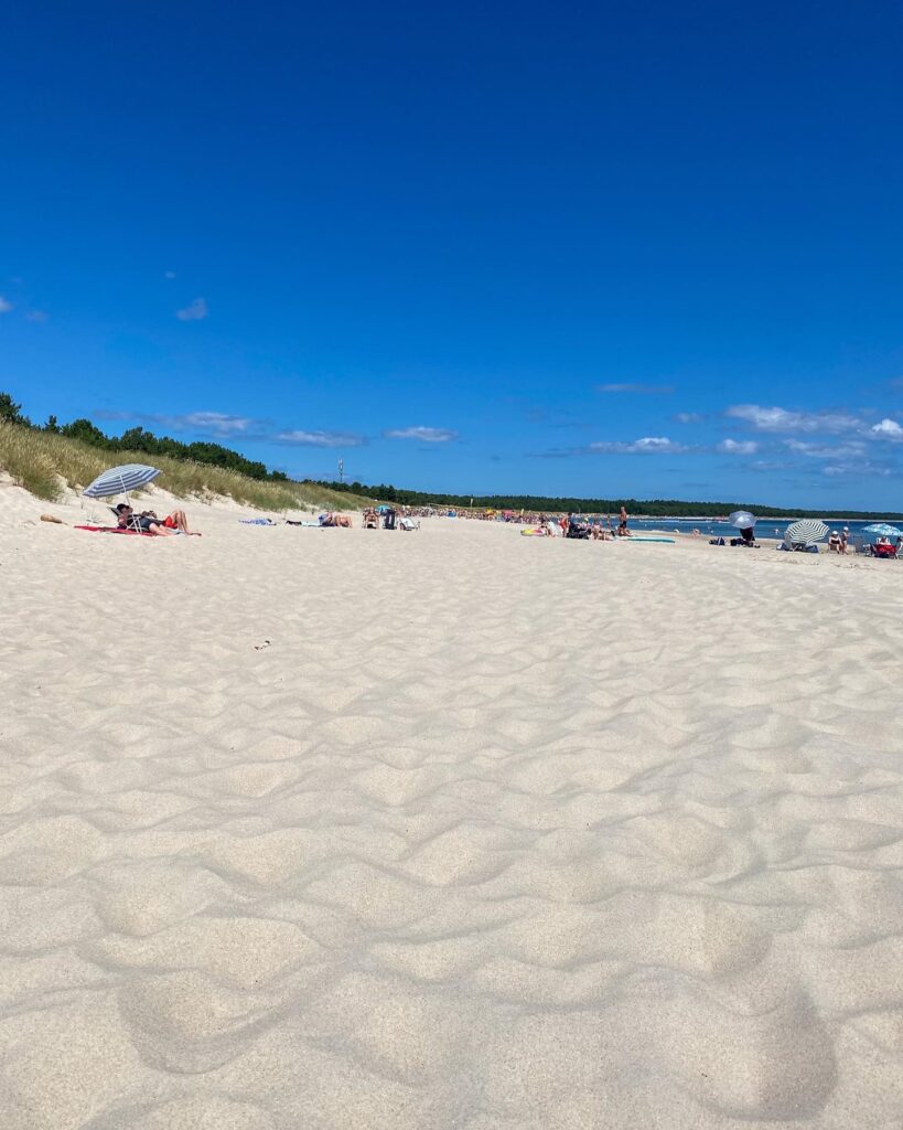 0ba62c8f 02f2 4090 9cac 8949554f150d.jpg